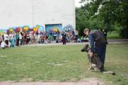 Die Polizei demonstrierte mit der Hundestaffel das K&ouml;nnen der Tiere.