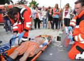 Die Freiwillige Feuerwehr Zerbst demonstrierte einen Rettungs- und Hilfeleistungseinsatz. Dabei waren Feuerwehrleute auch in der Rolle von Sanit&auml;tern.