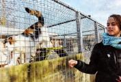 Janin Becker gehört zu den Schülern der Ganztagsschule Ciervisti, die gestern im Rahmen des Ferienprojektes "Tierisch kreativ" das Zerbster Tierheim bei einer Führung näher kennenlernten.