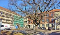 Rechts das Kasernengeb&auml;ude, die Au&szlig;enstelle der Sekundarschule CIERVISTI, links das Frauenkloster und in der Mitte der Schulhof mit der m&auml;chtigen Eiche.
