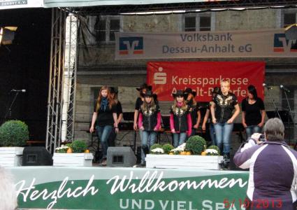 Zerbster Bollenmarkt 2013