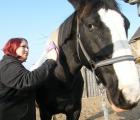 Liesa Schwarzlose hat ihren Traumberuf bereits gefunden. Schon zum zweiten Mal suchte sich die Neuntklässlerin einen Praktikumsplatz auf einem Pferdehof und kümmert sich eine Woche lang mit um die Tiere.