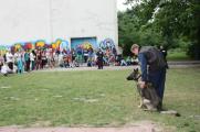 Die Polizei demonstrierte mit der Hundestaffel das Können der Tiere.